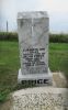 Elizabeth Price Elizabeth Price
