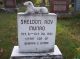 Sheldon Munro Sheldon Munro