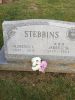 James & Florence Stebbins